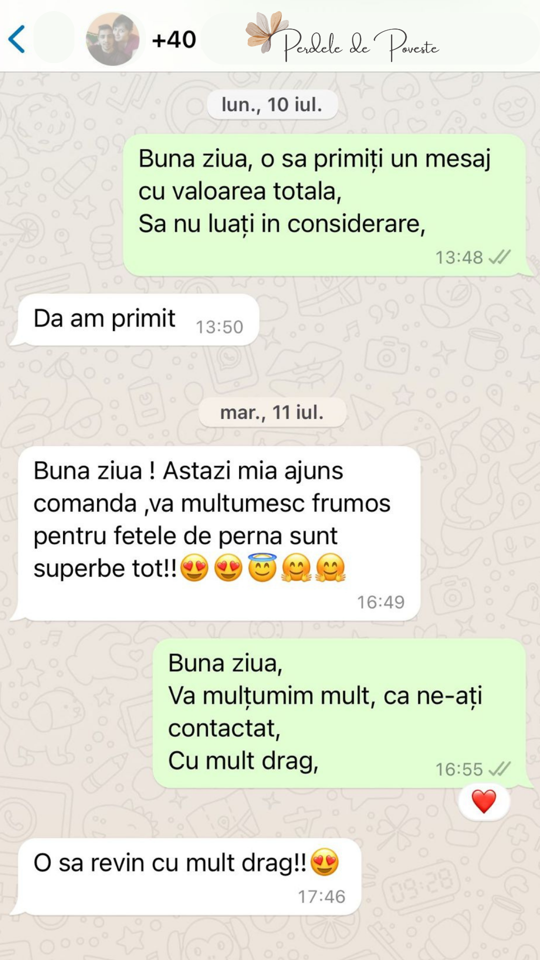 Recenzie 1